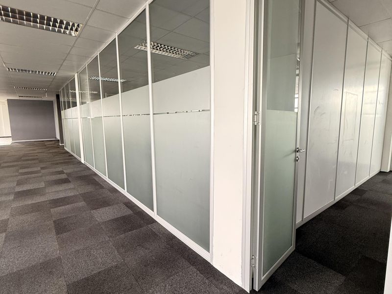Modern office space featuring glass partition walls with frosted privacy film, suspended ceilings with recessed lighting, and durable carpet tiles.