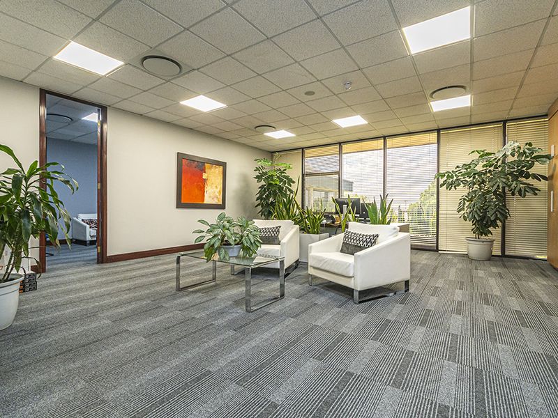 A professional office space featuring a suspended ceiling with recessed lighting, carpet tile flooring, and large windows providing natural light.