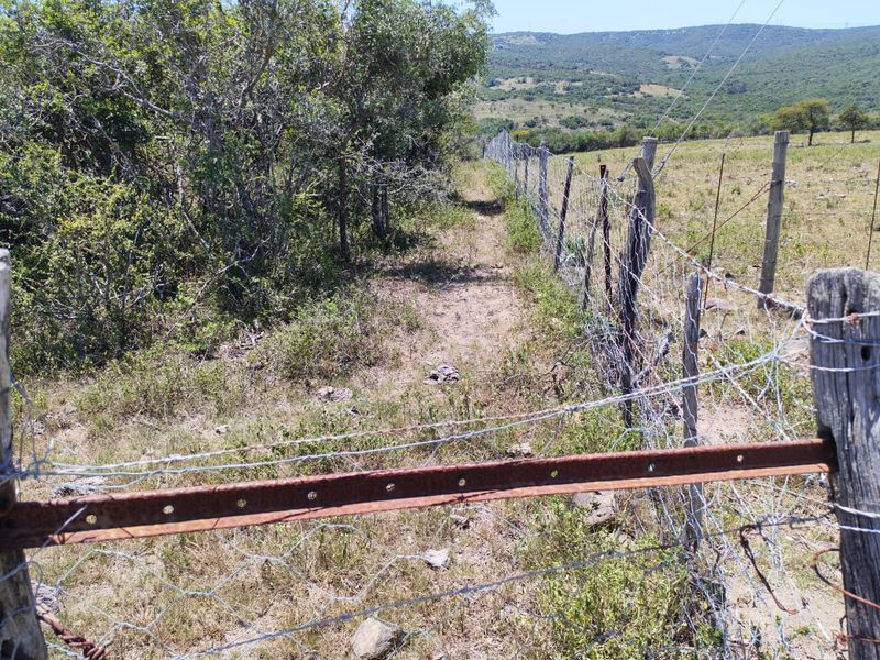 A view of the farm boundary featuring wire fencing with wooden posts, set against a backdrop of open grazing land and rolling hills.