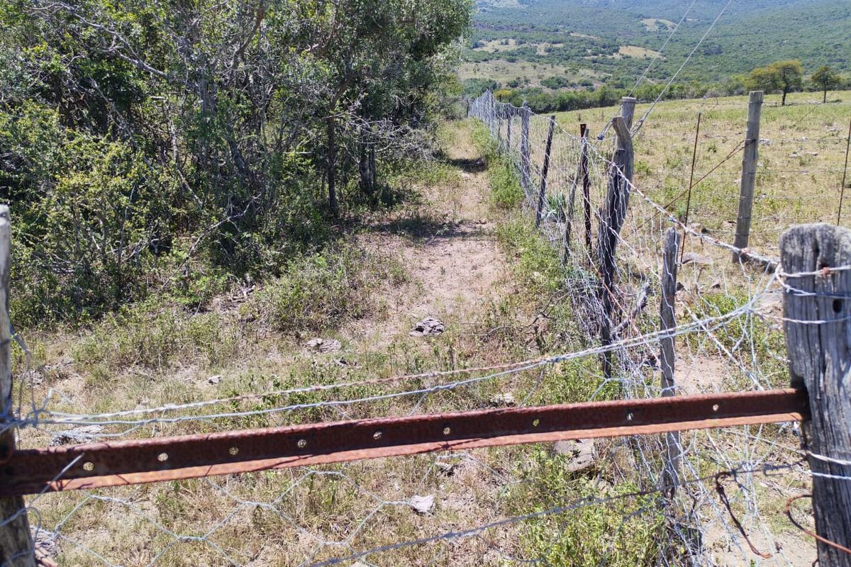 A view of the farm boundary featuring wire fencing with wooden posts, set against a backdrop of open grazing land and rolling hills.