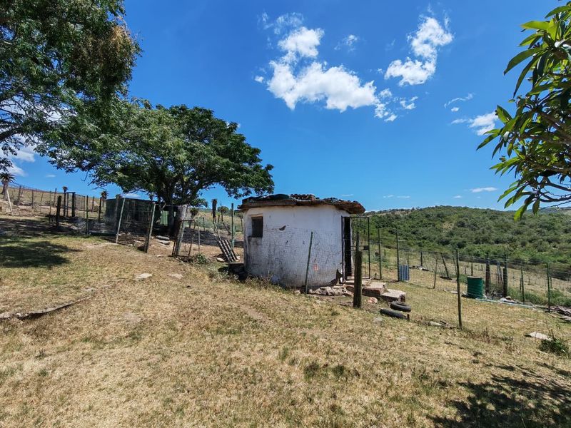 A small, rustic outbuilding with a thatched roof situated on a rural farm property, surrounded by wire fencing and open landscape.