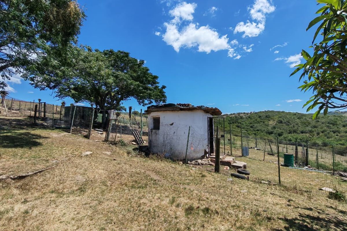 A small, rustic outbuilding with a thatched roof situated on a rural farm property, surrounded by wire fencing and open landscape.