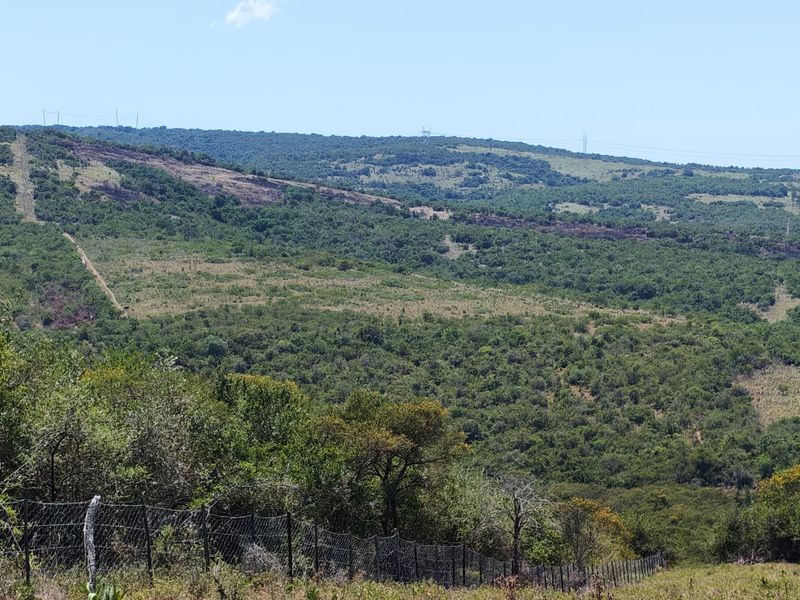 Expansive landscape view overlooking rolling hills and natural vegetation, featuring a wire mesh boundary fence in the foreground.