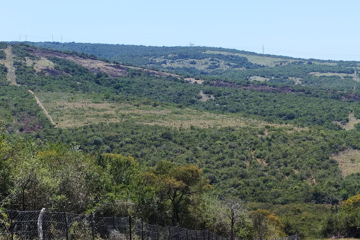 Expansive landscape view overlooking rolling hills and natural vegetation, featuring a wire mesh boundary fence in the foreground.