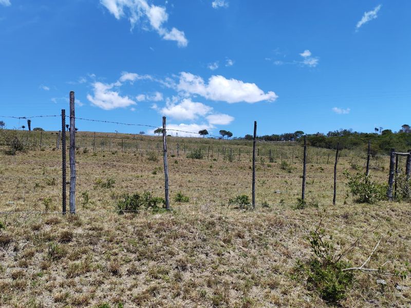 A view of open farm land featuring weathered wooden fence posts and barbed wire fencing under a clear blue sky.