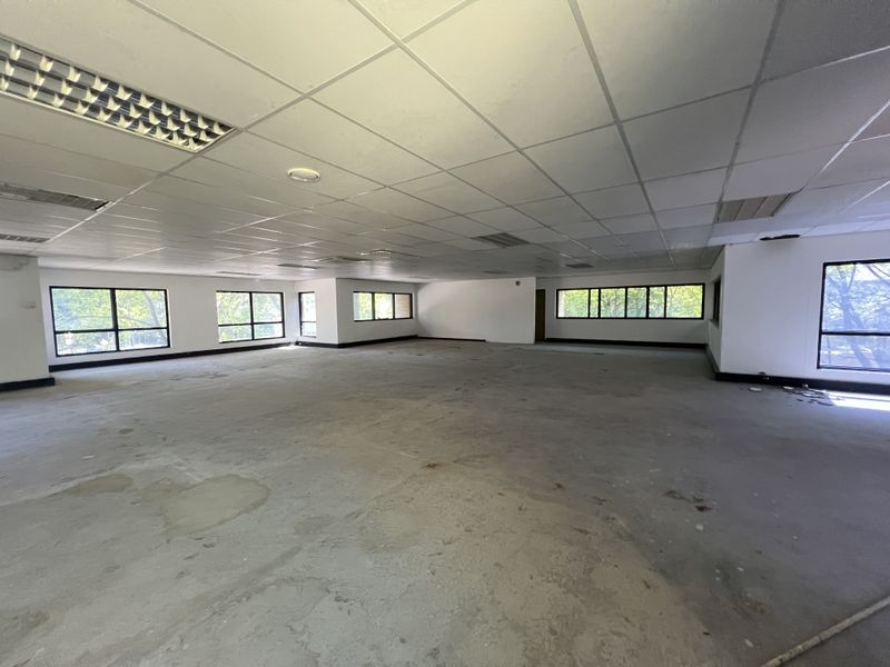 A large, open-plan office space featuring a suspended ceiling with recessed lighting, concrete flooring, and multiple windows providing natural light.