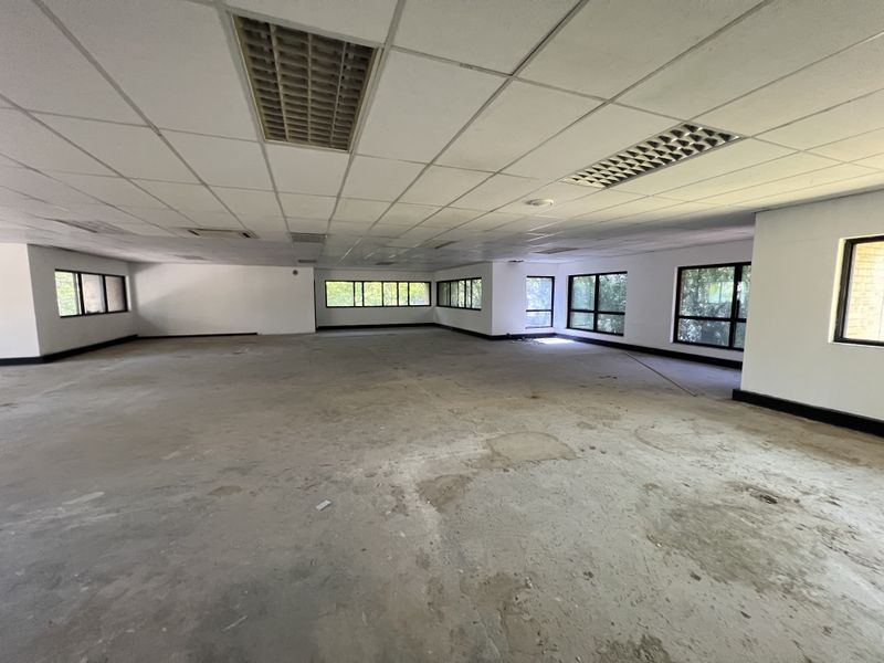 A large, open-plan office space featuring a suspended ceiling with recessed lighting, expansive windows, and unfinished concrete flooring.