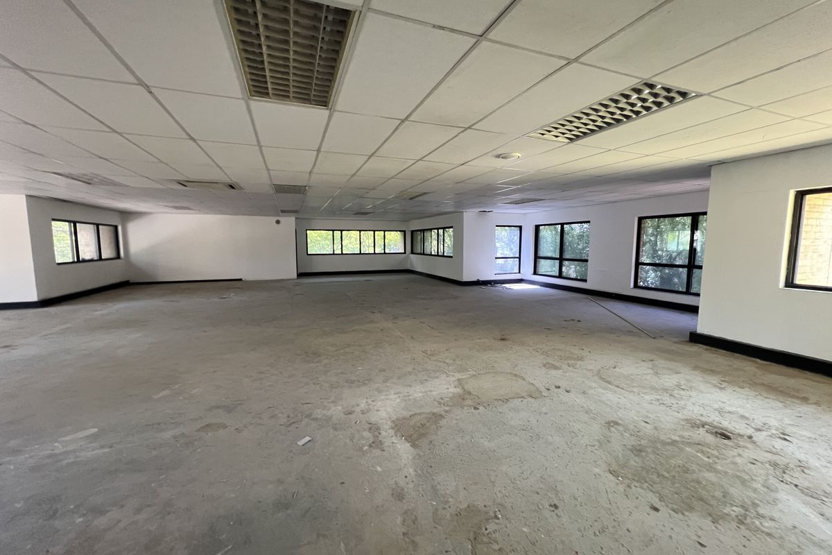 A large, open-plan office space featuring a suspended ceiling with recessed lighting, expansive windows, and unfinished concrete flooring.