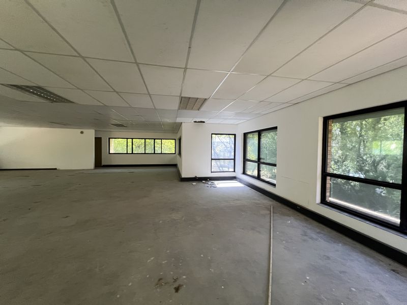 A large, open-plan office space featuring a suspended ceiling, recessed lighting, and expansive windows providing natural light and views of surrounding greenery.