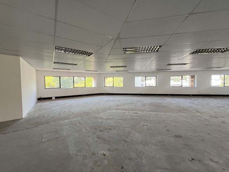 A spacious, open-plan office area featuring a suspended ceiling with recessed lighting and large windows providing ample natural light.