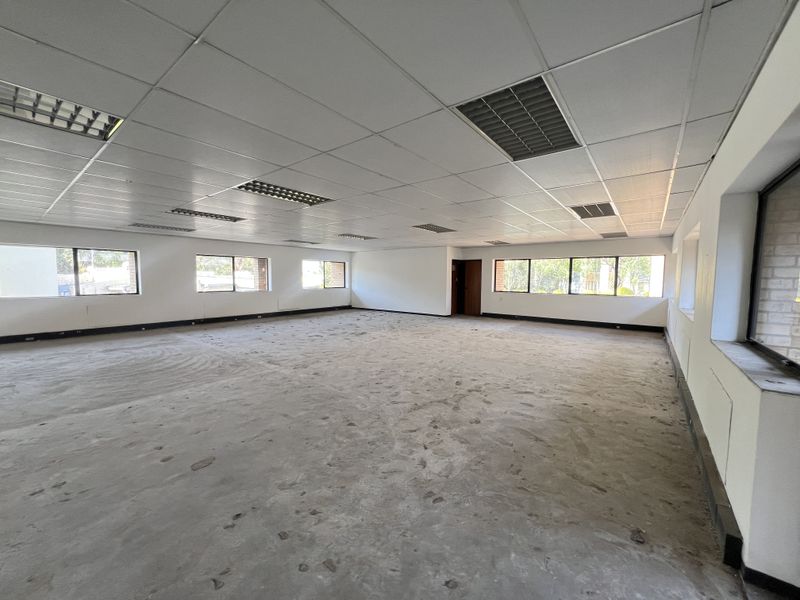A large, open-plan office space featuring a suspended ceiling with recessed lighting, expansive windows, and unfinished concrete flooring, ready for custom fit-out.