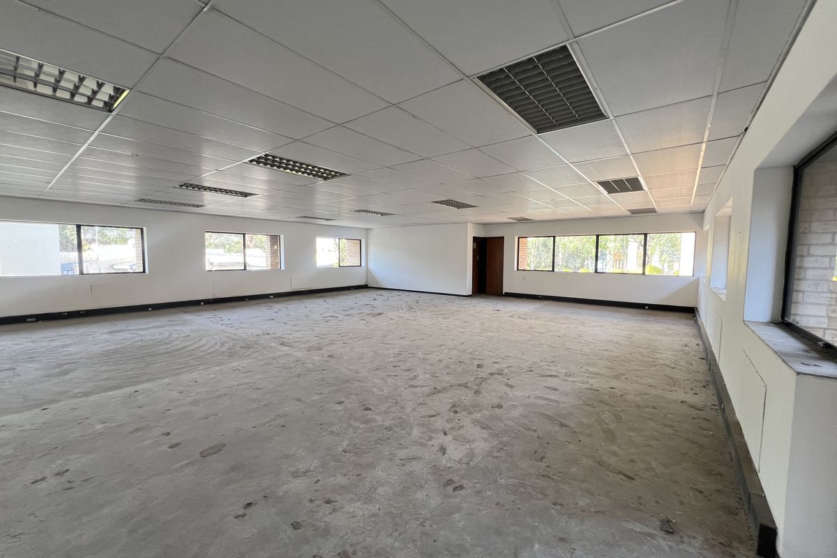A large, open-plan office space featuring a suspended ceiling with recessed lighting, expansive windows, and unfinished concrete flooring, ready for custom fit-out.