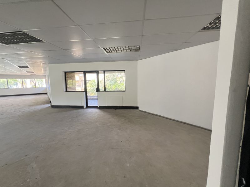 A spacious, vacant open-plan office area featuring a suspended ceiling, recessed lighting, and large windows providing natural light.