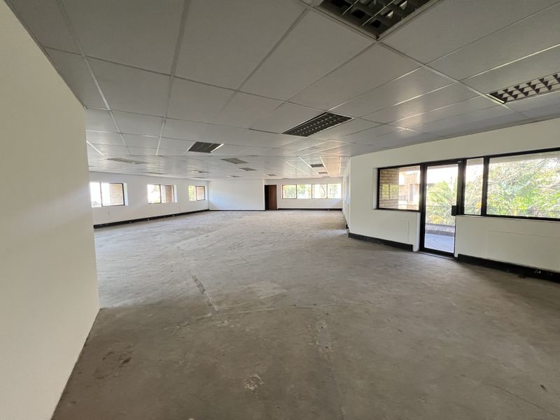 A large, open-plan office space featuring a suspended ceiling, recessed lighting, and expansive windows providing natural light and exterior views.