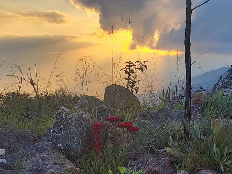 A scenic landscape view featuring rocky terrain and natural vegetation at sunset, showcasing the natural beauty of the farm property.