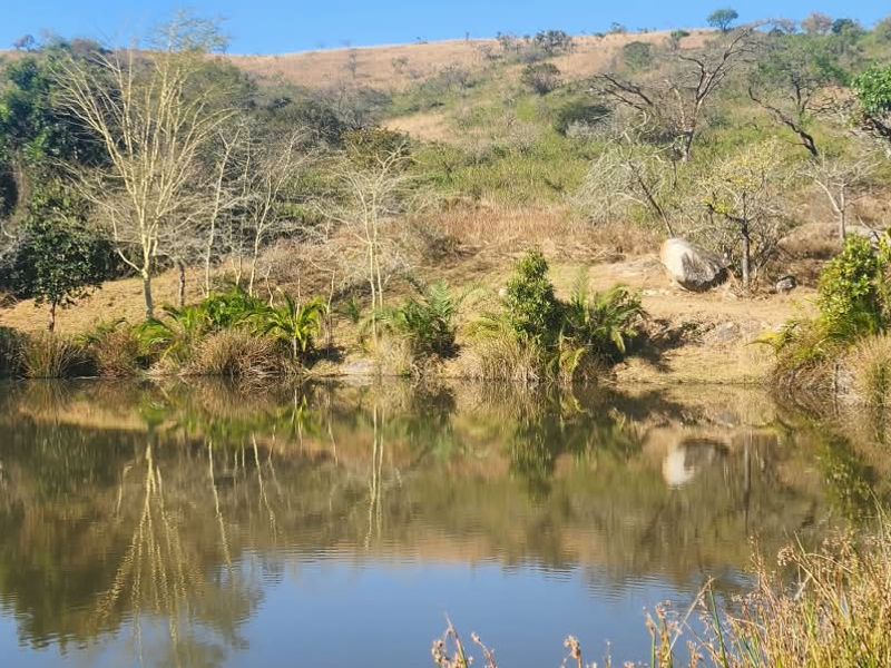 A scenic view of a natural pond set against a backdrop of rolling hills and indigenous vegetation on the farm property.