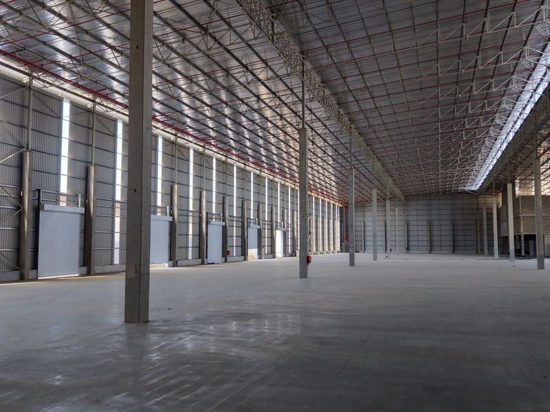 Expansive industrial warehouse space featuring high ceilings, concrete flooring, steel structural supports, and multiple roller shutter doors for efficient logistics and storage operations.