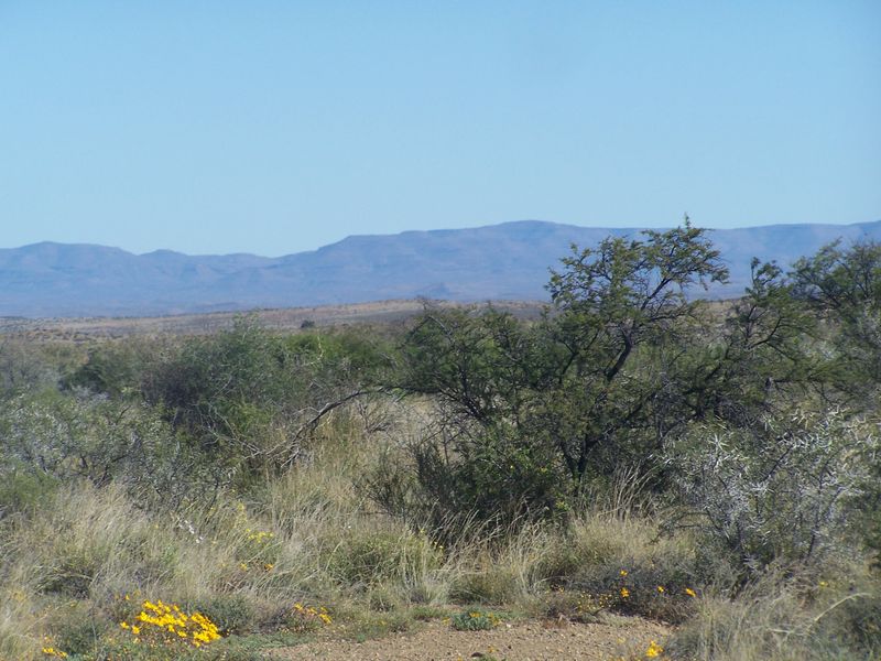 A scenic landscape view showcasing the natural terrain and distant mountain ranges characteristic of the farm property.