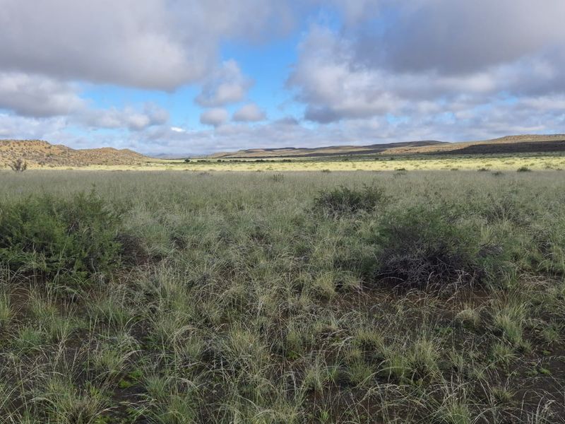 Expansive view of the open farm landscape featuring natural grasslands and rolling hills under a cloudy sky.