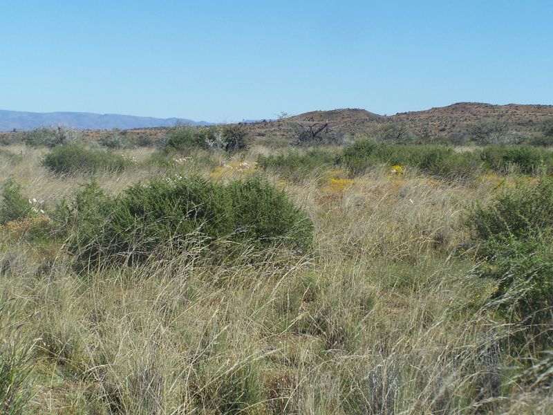 A scenic view of the expansive natural landscape and rolling hills characteristic of the farm property.
