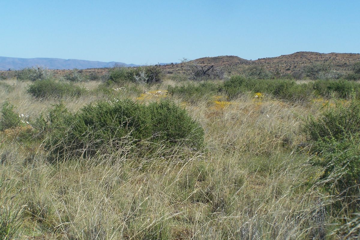 A scenic view of the expansive natural landscape and rolling hills characteristic of the farm property.