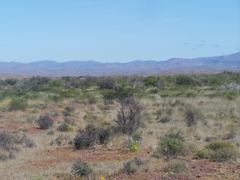 A scenic view of the expansive natural landscape featuring native vegetation and distant mountain ranges on the farm property.