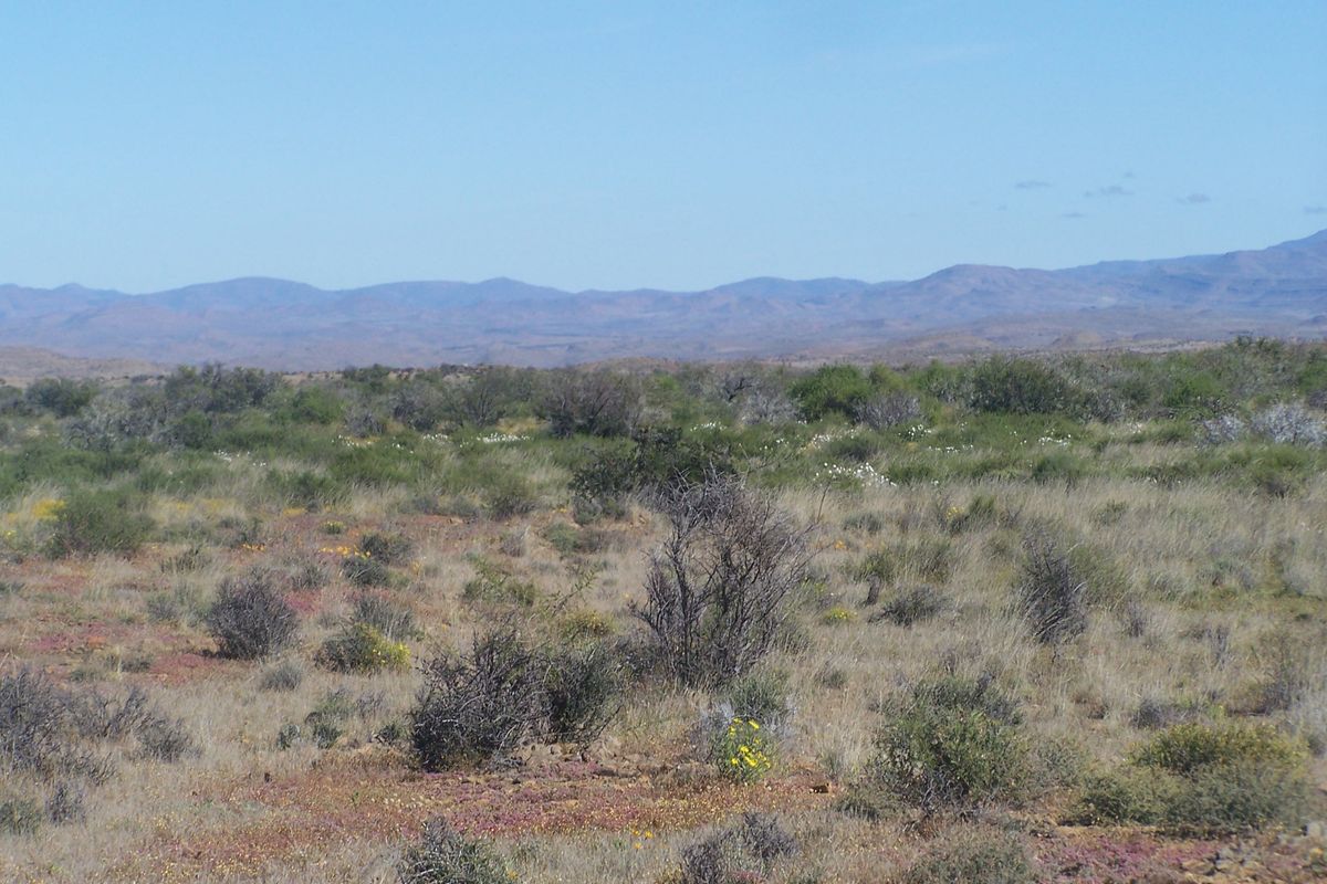 A scenic view of the expansive natural landscape featuring native vegetation and distant mountain ranges on the farm property.