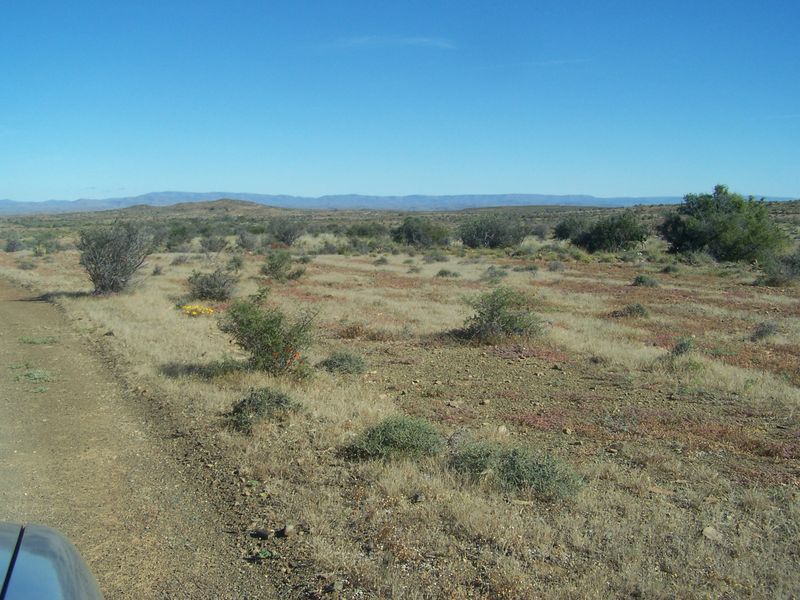A wide-angle view of the expansive, arid farm landscape featuring natural vegetation, dry terrain, and distant mountain ranges under a clear blue sky.