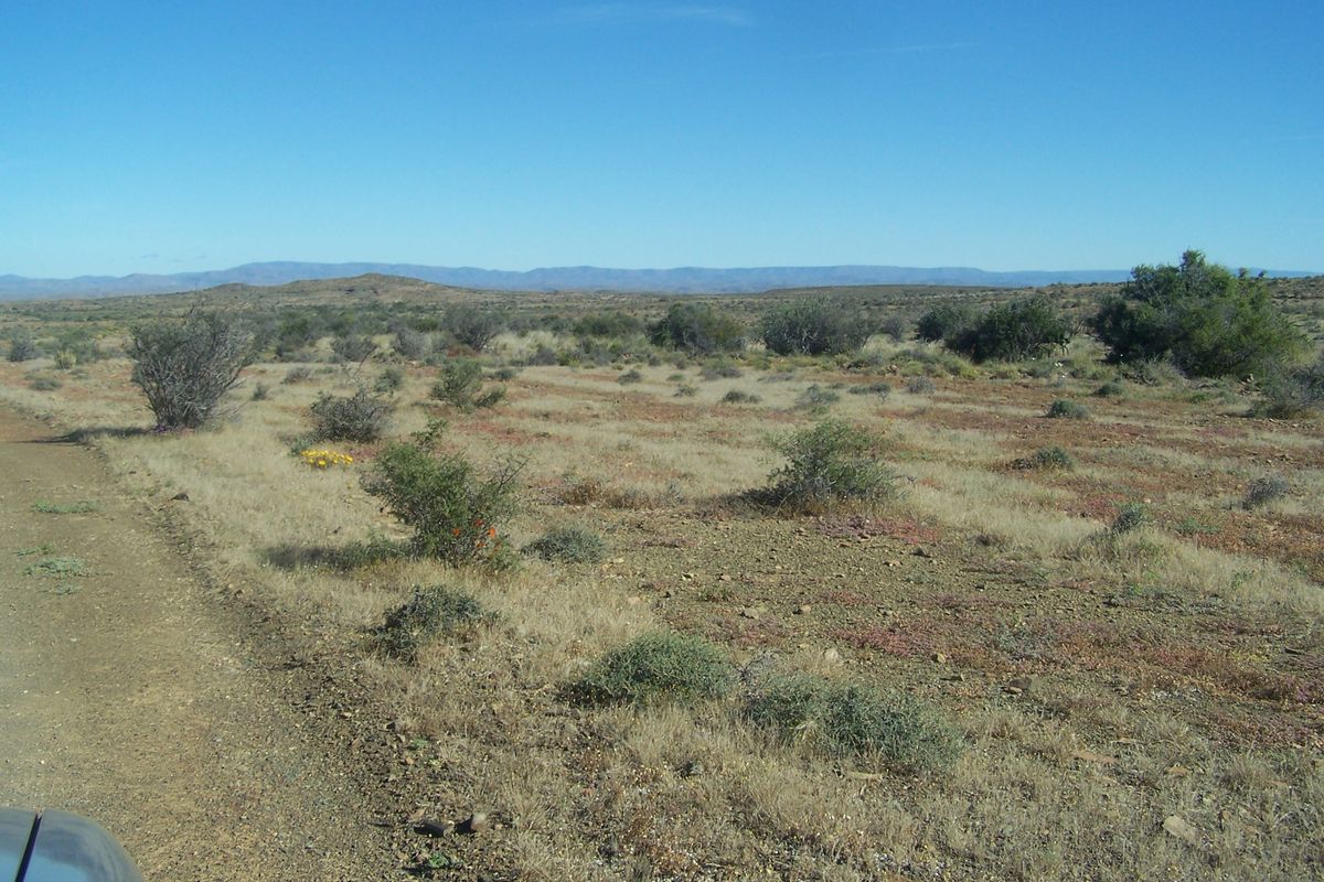 A wide-angle view of the expansive, arid farm landscape featuring natural vegetation, dry terrain, and distant mountain ranges under a clear blue sky.