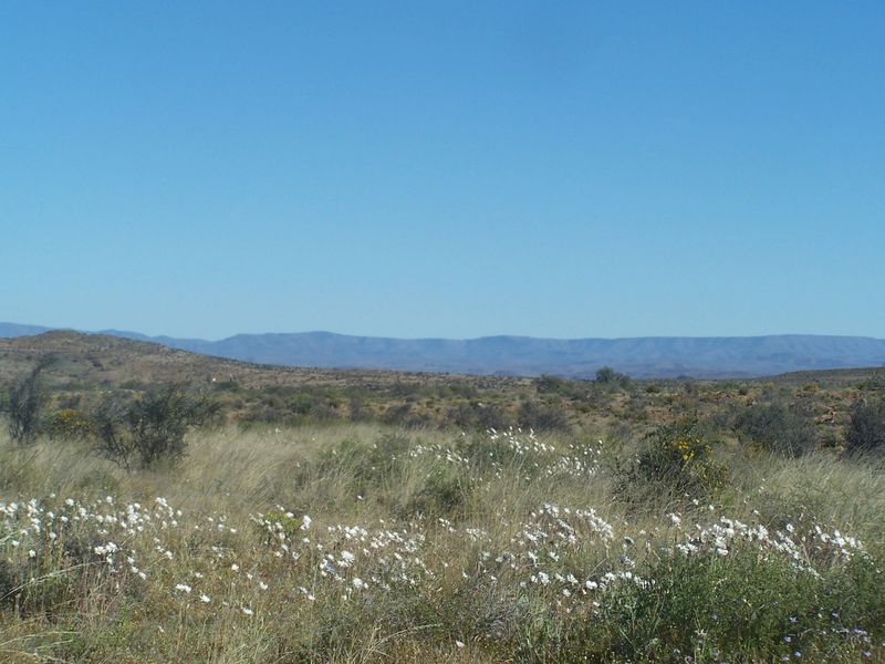 A scenic landscape view featuring open veld, native shrubs, and distant mountain ranges under a clear blue sky.