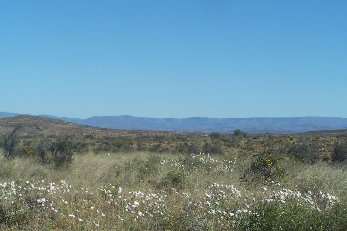 A scenic landscape view featuring open veld, native shrubs, and distant mountain ranges under a clear blue sky.