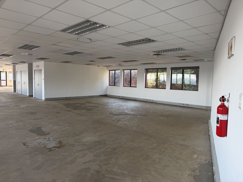 A spacious, open-plan office area featuring a suspended ceiling, recessed lighting, and large windows, currently awaiting new flooring and fit-out.