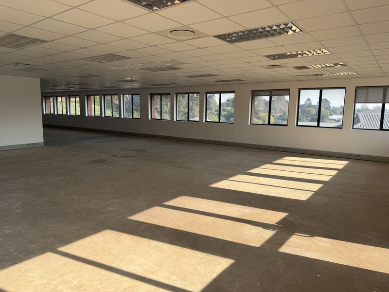 Spacious open-plan office area featuring a suspended ceiling, recessed lighting, and large windows providing ample natural light and exterior views.