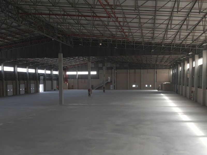 Spacious industrial warehouse featuring high ceilings, concrete flooring, multiple roller shutter doors, and an integrated fire sprinkler system, ideal for logistics or manufacturing operations.
