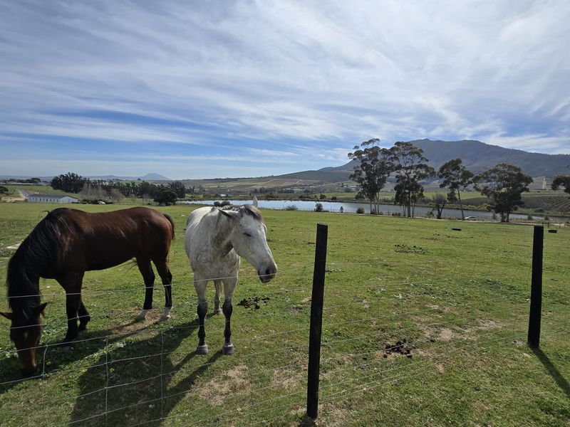 Expansive farm landscape featuring open pasture, wire fencing, and a scenic dam with mountain views in the background.