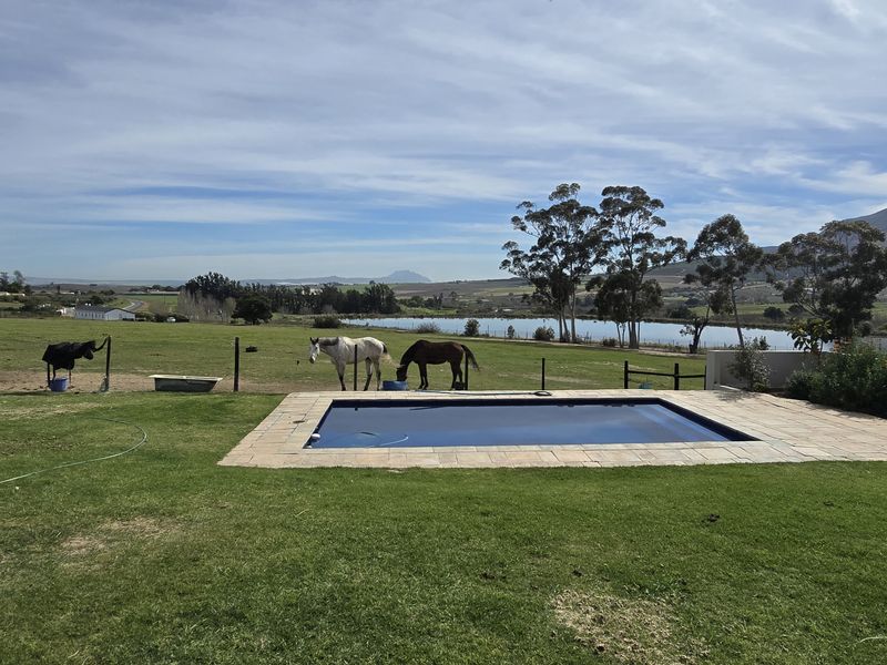 A well-maintained swimming pool set within a spacious lawn, offering expansive views of the surrounding farm landscape and distant mountains.