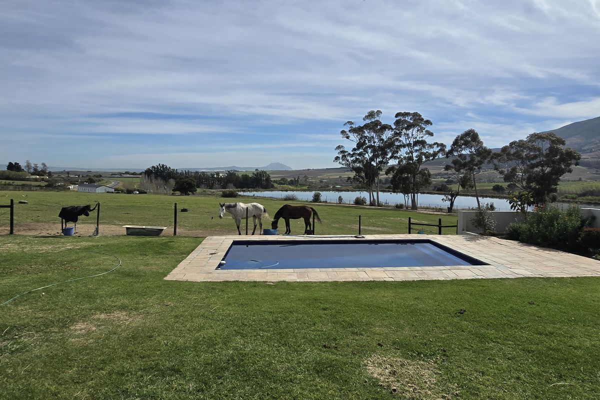 A well-maintained swimming pool set within a spacious lawn, offering expansive views of the surrounding farm landscape and distant mountains.