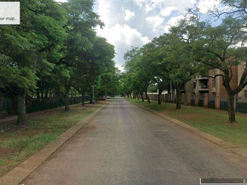 A street view of a tree-lined residential road featuring mature trees, paved verges, and established brick boundary walls.