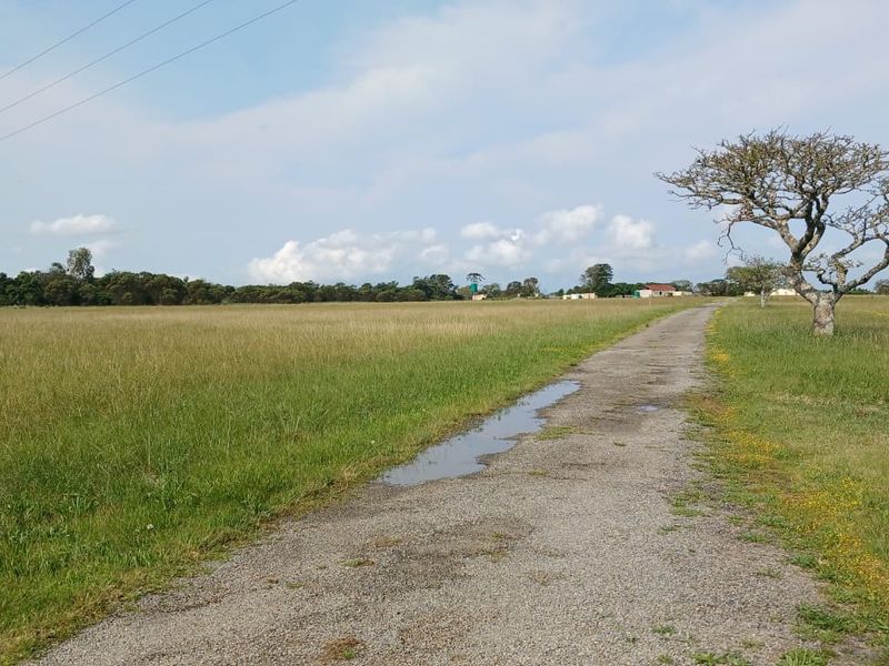 A view of the farm property featuring an open pasture and a gravel driveway leading towards the main buildings.