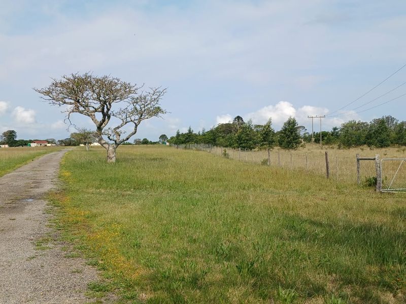 A view of the farm property featuring a gravel driveway, open pasture land, and perimeter wire fencing with a metal gate.