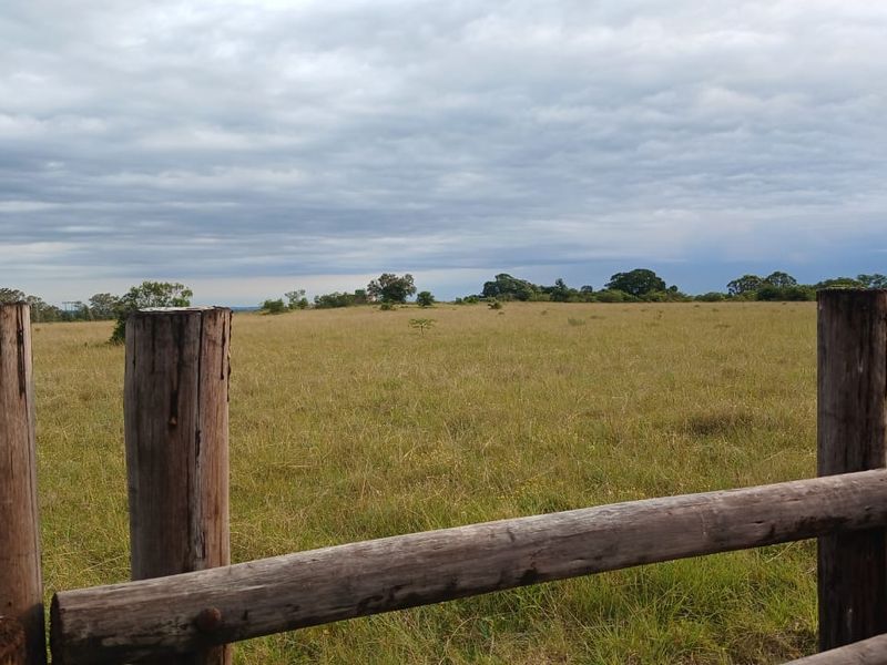 Expansive open pasture land on a farm, framed by rustic timber post and rail fencing under a cloudy sky.