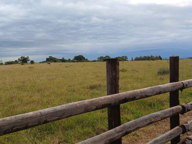 Expansive open farm land featuring traditional timber post and rail fencing under a cloudy sky.