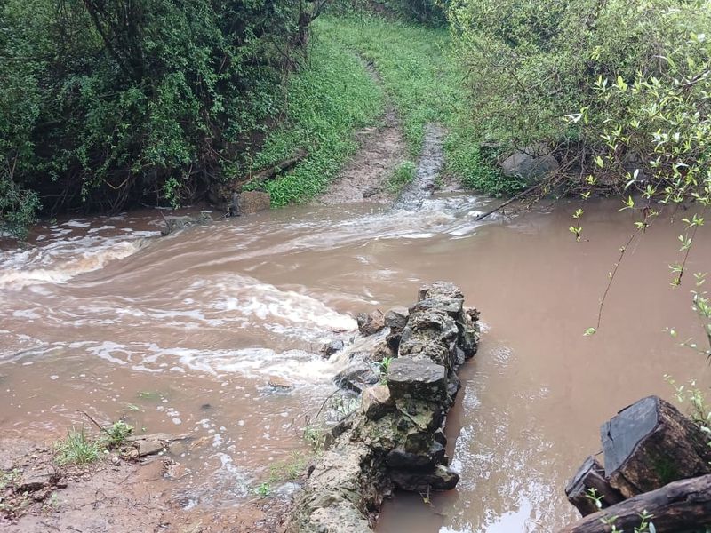 A natural stream flowing through the farm landscape, featuring a stone embankment and surrounding lush vegetation.