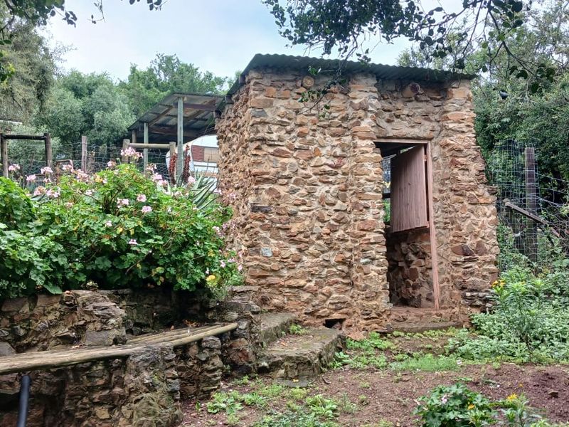 A rustic stone outbuilding situated in a garden setting, featuring traditional masonry construction and a corrugated metal roof.