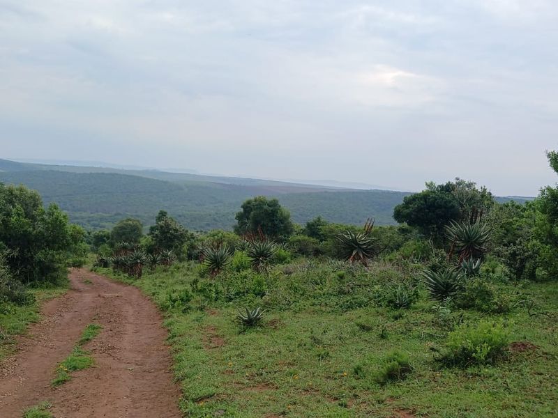 A scenic view of the expansive farm landscape featuring a natural dirt track winding through indigenous vegetation and rolling hills.