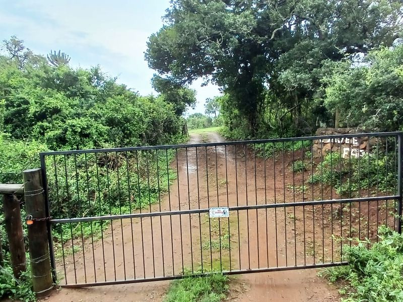 A gated entrance to a farm property featuring a metal gate, timber posts, and a dirt access road surrounded by natural vegetation.