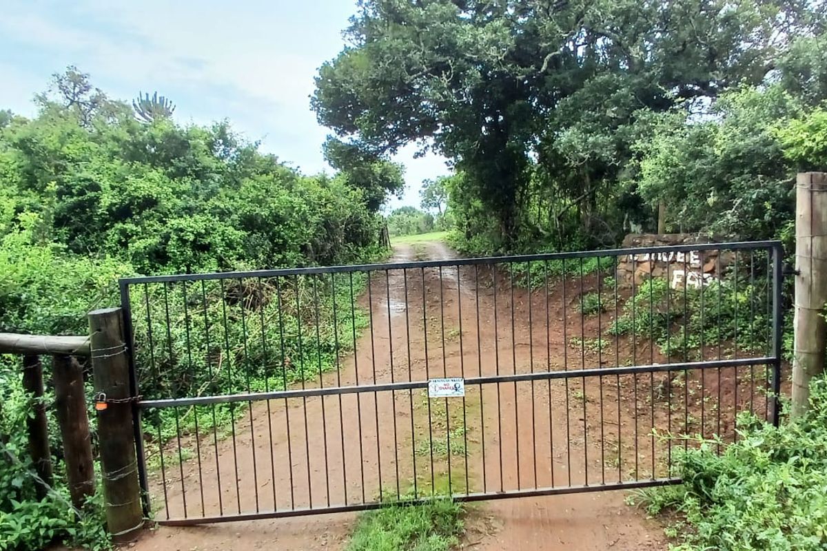 A gated entrance to a farm property featuring a metal gate, timber posts, and a dirt access road surrounded by natural vegetation.