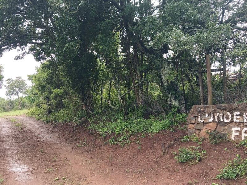 Entrance to Cundee Farm featuring a stone signage wall and a natural dirt access road surrounded by mature trees.