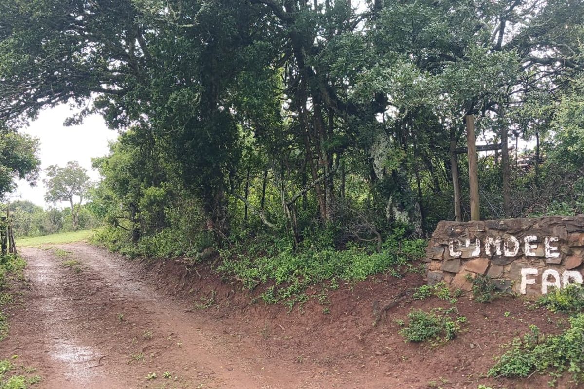 Entrance to Cundee Farm featuring a stone signage wall and a natural dirt access road surrounded by mature trees.