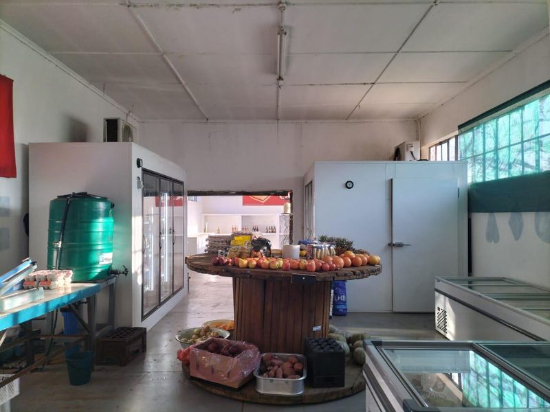 Commercial utility space featuring walk-in cold storage units, glass display refrigeration, and functional concrete flooring, suitable for food storage or retail preparation.
